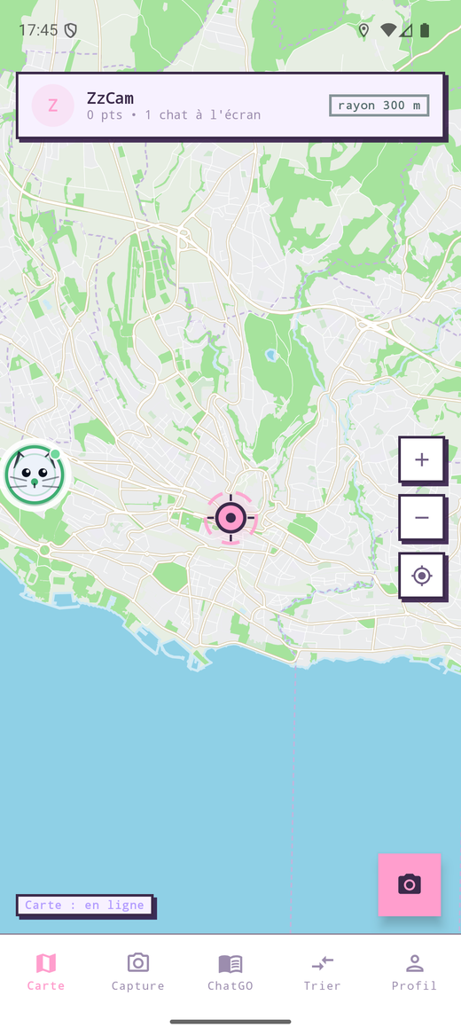 La carte de ChatGO, avec un marqueur de chat sur les bords du Léman