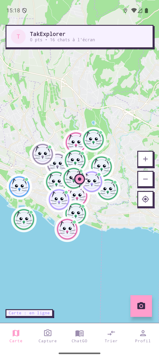 La carte de ChatGO, dessinée en 8-bit, avec un marqueur de chat sur les bords du Léman