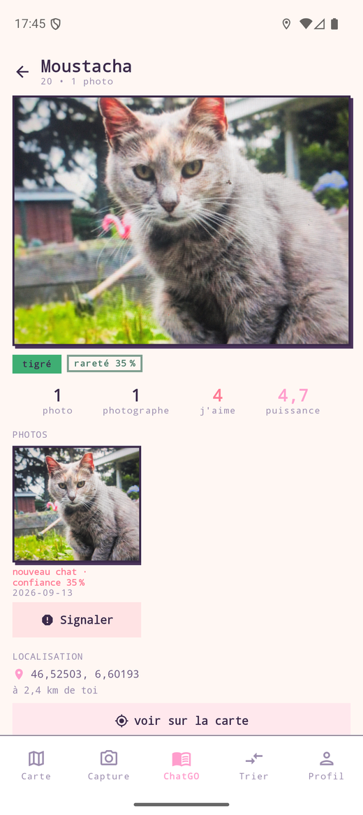 La fiche d'un chat : photo, rareté, puissance et localisation