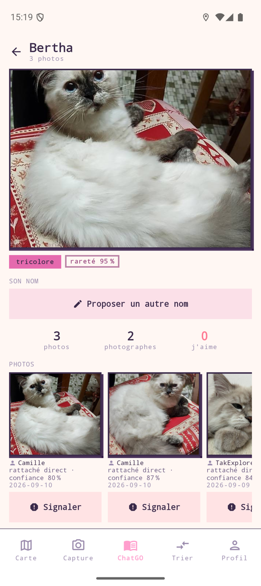 La fiche d'un chat : sa photo, sa rareté et les joueurs qui l'ont photographié
