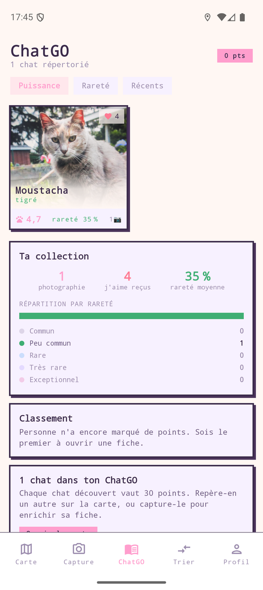 Le répertoire des chats découverts