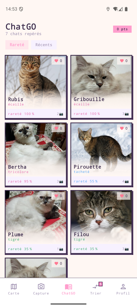 Le répertoire des chats que le joueur a croisés